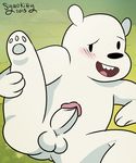  balls bear erection ice_bear male mammal penis polar_bear sailorsyaoran solo we_bare_bears 