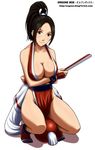  ball black_hair breasts brown_eyes cleavage closed_fan fan fatal_fury folding_fan gloves hair_tie highres large_breasts pelvic_curtain ponytail revealing_clothes shiranui_mai shoes solo the_king_of_fighters watermark web_address yas 