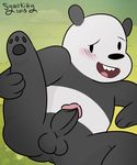  balls bear erection male mammal panda panda_(character) penis sailorsyaoran solo we_bare_bears 
