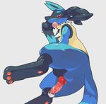  animal_genitalia anus balls black_fur blue_fur blush butt canine canine_penis condom condom_in_mouth cum cum_on_penis filled_condom fur grey_background holding_condom knot long_tail looking_at_viewer lucario mammal nintendo pawpads paws penis plain_background pok&eacute;mon red_eyes simple_background spread_legs spreading video_games yellow_fur 後で決める 