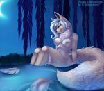  2015 anthro breasts canine cyan_eyes female fluffy_tail leaves mammal night nipples nude pond popcornpanic smile water 