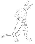  ageplay bulge cock_transformation conjoined cub fused halcy0n joey kangaroo male mammal marsupial package penis pouch rugertaur sheath sheathed young 