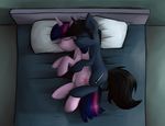  bed cuddling duo equine eyes_closed female friendship_is_magic hair horn lying mammal marsminer midnight_song my_little_pony pillow sleeping twilight_sparkle_(mlp) unicorn winged_unicorn wings 