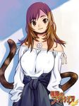  bare_shoulders breasts brown_eyes brown_hair large_breasts long_hair lowres mugen_no_fantasia ryoji_(nomura_ryouji) solo tail 