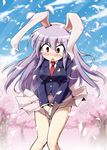  animal_ears blazer blush bunny_ears cherry_blossoms covering covering_crotch jacket kousei_(public_planet) long_hair necktie purple_hair red_eyes red_neckwear reisen_udongein_inaba skirt skirt_tug solo tears touhou wind wind_lift 