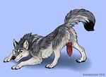  2015 balls butt canine cum erection feral fur inviting male mammal nude penis presenting wingedwolf wolf 
