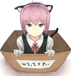  animal_ears bad_id bad_pixiv_id blue_eyes box cardboard_box cat_ears fake_animal_ears fake_tail for_adoption gloves guanhian in_box in_container kantai_collection looking_at_viewer neck_ribbon pink_hair ponytail red_neckwear red_ribbon ribbon sad school_uniform shiranui_(kantai_collection) short_hair solo tail translated vest white_gloves 