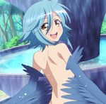  1girl back blue_hair blush feathers harpy highres monster_girl monster_musume_no_iru_nichijou nude open_mouth papi_(monster_musume) screencap short_hair smile solo stitched wings yellow_eyes 