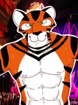  abs anthro biceps dreamworks feline fur madagascar male mammal muscles pecs russian solo stripes tiger vitaly_the_tiger 