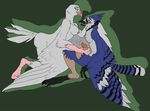  anthro avian beak bird blue_jay breasts dove duo erection female handjob happy human hypnosis male male/female mammal masturbation mind_control open_mouth penis silverclaw1 simple_background smile talons transformation wings 