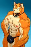  abs biceps big_muscles bulge clothing feline male mammal muscles nipples pecs tsukigata underwear 