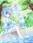  :d animal_ears arm_support bad_id bad_pixiv_id barefoot blue_eyes blue_hair fox_ears fox_tail grass japanese_clothes kimono leaf open_mouth original sash sitting smile soaking_feet solo tail tree water ye_xian 