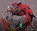  !湖 breasts female green_eyes kemono nintendo niples pok&eacute;mon red_hiar tongue video_games zoroark 