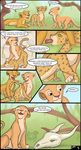  comic cub degradation dialogue digital_media_(artwork) disney english_text feline feral feral_on_feral forced_bi fur hi_res humiliation leopard lion mammal meowz muzzle_(object) muzzled nala oral simba speech_bubble spread_legs spreading standing tail_tuft text the_lion_king tuft tuke young 