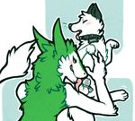  anthro arctic_fox ball_lick blush canine chastity collar feral fox licking male mammal open_mouth oral paws precum sergal sex shugowah simple_background size_difference tongue tongue_out 