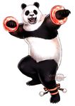  bared_teeth bracelet claws fighting_stance jewelry kotobukiya no_humans official_art panda panda_(tekken) ribbon solo tekken tekken_tag_tournament_2 watermark yamashita_shun'ya 