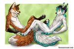  2015 anthro canine duo foot_fetish footjob fox fur hair male male/male mammal nude paws penis playing sex smile tongue wingedwolf 