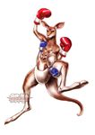  fighting_stance kangaroo kotobukiya mother_and_son no_humans official_art raised_fist roger's_wife_(tekken) roger_jr. tail tekken tekken_tag_tournament_2 watermark yamashita_shun'ya 