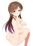  absurdres ass blush brown_eyes brown_hair covering covering_breasts from_behind highres idolmaster idolmaster_cinderella_girls long_hair looking_at_viewer nitta_minami nude simple_background sitting solo taka_(takahirokun) white_background 