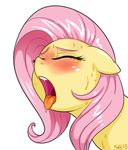  2015 blush equine eyes_closed female feral fluttershy_(mlp) friendship_is_magic hair horse long_hair mammal my_little_pony open_mouth pink_hair pony simple_background solo sorcerushorserus sweat tongue tongue_out white_background 