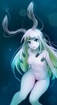  antennae blue_eyes blush breasts chestnut_mouth collarbone eyebrows_visible_through_hair eyes_visible_through_hair freckles highres long_hair looking_at_viewer monster_girl navel nipples nude open_mouth original personification ricegnat sea_slug sketch slug_girl small_breasts solo thick_eyebrows thigh_gap white_hair 