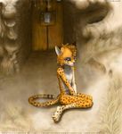  blue_eyes cheetah feline katrkoriza_(artist) male mammal rabu_kicchi_(copyright) sad sitting solo spots young 