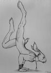  anthro deriaz_(artist) handstand lagomorph male mammal monochrome nude rabbit scar solo yoga 
