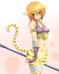  animal_ears bad_id bad_pixiv_id breath_of_fire breath_of_fire_ii cat_ears cat_tail gloves gradient gradient_background green_eyes highres midriff orange_hair rinpoo_chuan sato_toshiya short_hair solo staff tail transparent_background 