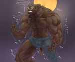  canine captainjohkid flakjacket0204 growth mammal muscle_growth text transformation wolf 