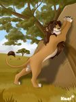  balls feline feral kael_tiger lion male mammal 