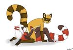  2015 anal anthro black_fur brown_fur brown_stripes claws duo erection female fur graedius green_eyes hair kyoushiro licking looking_back male male/female mammal oral pawpads paws penis raccoon red_fur red_panda red_stripes rimming sex simple_background smile tongue tongue_out white_background white_fur white_hair white_stripes 