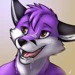 2015 anthro canine caylen cum cynicalstarr fox fur male mammal open_mouth purple_fur smile solo 