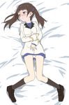  bed_sheet blue_eyes blue_ribbon blue_shirt blush brave_witches brown_hair collared_shirt georgette_lemare hair_ribbon homare_(homaredai) long_hair long_sleeves looking_away lying military military_uniform on_back panties ribbon shirt solo twintails underwear uniform white_panties world_witches_series 