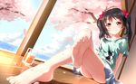  bangs bare_legs barefoot black_hair blush casual cherry_blossoms crossed_legs drink feet full_body heart heart-shaped_pupils highres legs long_legs looking_at_viewer love_live! love_live!_school_idol_project porch red_eyes sitting smile soles solo symbol-shaped_pupils toenails toes twintails wooden_floor xiao_ren yazawa_nico 