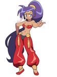  1girl blue_eyes breasts cleavage dark_skin ponytail shantae shantae_(character) simple_background solo 