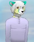  2015 anthro cheetah clothing cloudy_day collar feline male mammal outside simple_background solo standing 