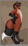  2009 anthro big_tail blue_eyes brown_hair canine digitigrade dirtiran fox hair hybrid looking_at_viewer male mammal mixed_media naturally_censored raccoon solo striped_tail watermark whiskers 
