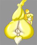  animal_crossing anus ber00_(author) big_breasts breasts butt canine dog female hair isabelle_(animal_crossing) mammal nintendo niple pussy solo video_games 