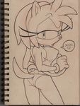  amy_rose bhawk big_breasts breasts butt clothing cute panties skirt sonic_(series) underwear 