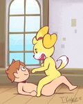  1boy 1girl 2015 animal_crossing animated animated_gif anthro barefoot blonde_hair blush brown_hair canine cowgirl_position dog doubutsu_no_mori duo female fur furry girl_on_top green_eyes hair hair_ornament happy happy_sex human isabelle_(animal_crossing) male male/female mammal nintendo open_mouth sex shizue_(doubutsu_no_mori) smile straddling tail tongue torrentialkake uncensored video_games villager_(animal_crossing) villager_(doubutsu_no_mori) window yellow_fur 