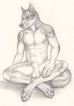  2015 anthro balls canine claws crossed_legs eyewear fur glasses kingsley_(ffredxiii) looking_up male mammal nude paws pencil_(artwork) rukis sheath simple_background sitting sketch solo traditional_media_(artwork) white_background wolf 