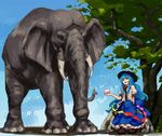  animal blue_eyes blue_hair elephant food fruit hat hinanawi_tenshi long_hair peach shibasaki_shouji solo touhou 