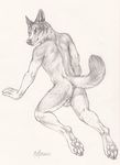  2015 all_fours anthro anus backsack balls canine claws dog fur looking_back luther male mammal nude pawpads paws raised_tail rukis simple_background solo suggestive white_background 