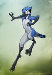  2015 adam_wan anthro avian beak bird bj_(character) blue_jay digitigrade feathers front_view male nude simple_background solo talons yellow_eyes 