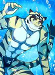  abs bearlovestiger13 biceps clothing feline male mammal morenatsu muscles nipples pecs solo swimsuit tiger torahiko_(morenatsu) underwater water 