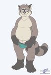  anthro barefoot briefs bulge chubby clothing digital_media_(artwork) eyewear flat_colors front_view glasses male mammal naughty_face navel penis_slip raccoon signature solo underwear underwear_down underwear_pull wolfblade 