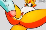  cum cum_inflation dust:_an_elysian_tail excessive_cum female fidget humanoid_penis inflation j5furry penis size_difference video_games 
