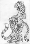  2015 animal_genitalia cheetah cum cum_in_mouth cum_inside feline feline_penis fellatio kneeling male male/male mammal nude oral penis sex sketch spera 