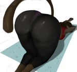  anthro big_butt black_hair breasts brown_fur butt cat close-up clothing ecaflip feline female fur hair looking_back mammal miranda_(wakfu) redfred shirt solo stretching tank_top wakfu yoga_pants 