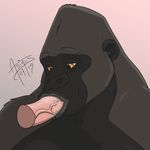  2015 ape asinusadlyram cum cum_in_mouth cum_inside disembodied_penis gokhan gorilla human male mammal oral penis primate yellow_eyes 